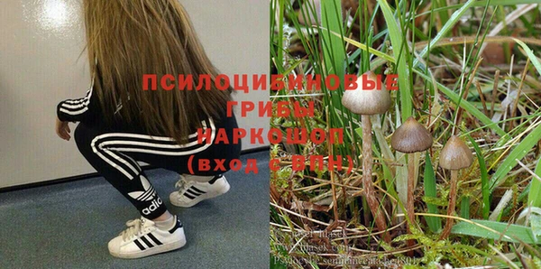 спиды Нязепетровск