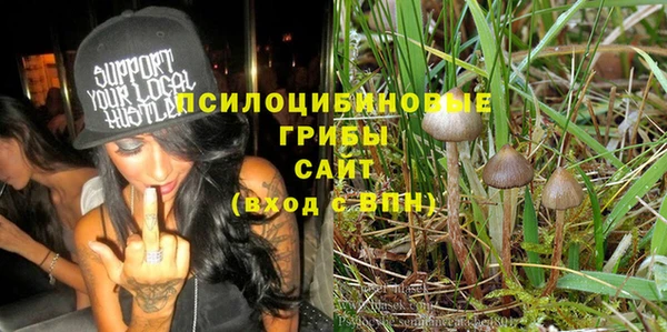 ECSTASY Алексин