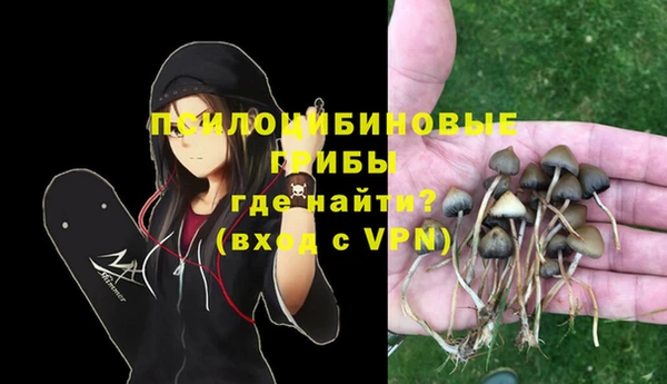 кокс Алзамай