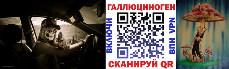 Псилоцибиновые грибы Psilocybine cubensis Жирновск
